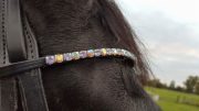 Buttons modelling her alternating Vitrail Light and Crystal AB curved 6mm wide Preciosa Crystal browband